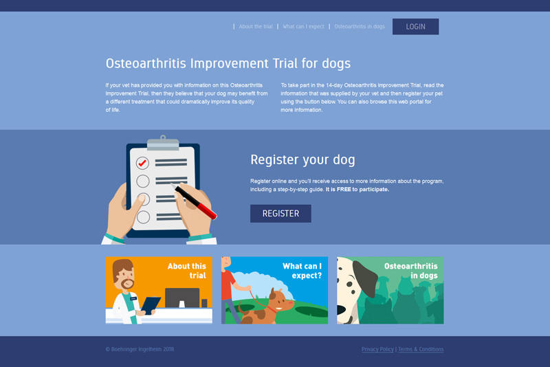 Dogs with arthritis